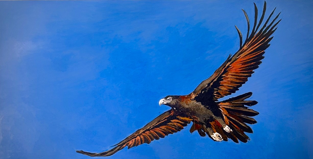 Freedom I