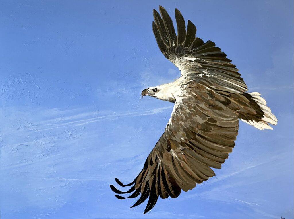 Soar