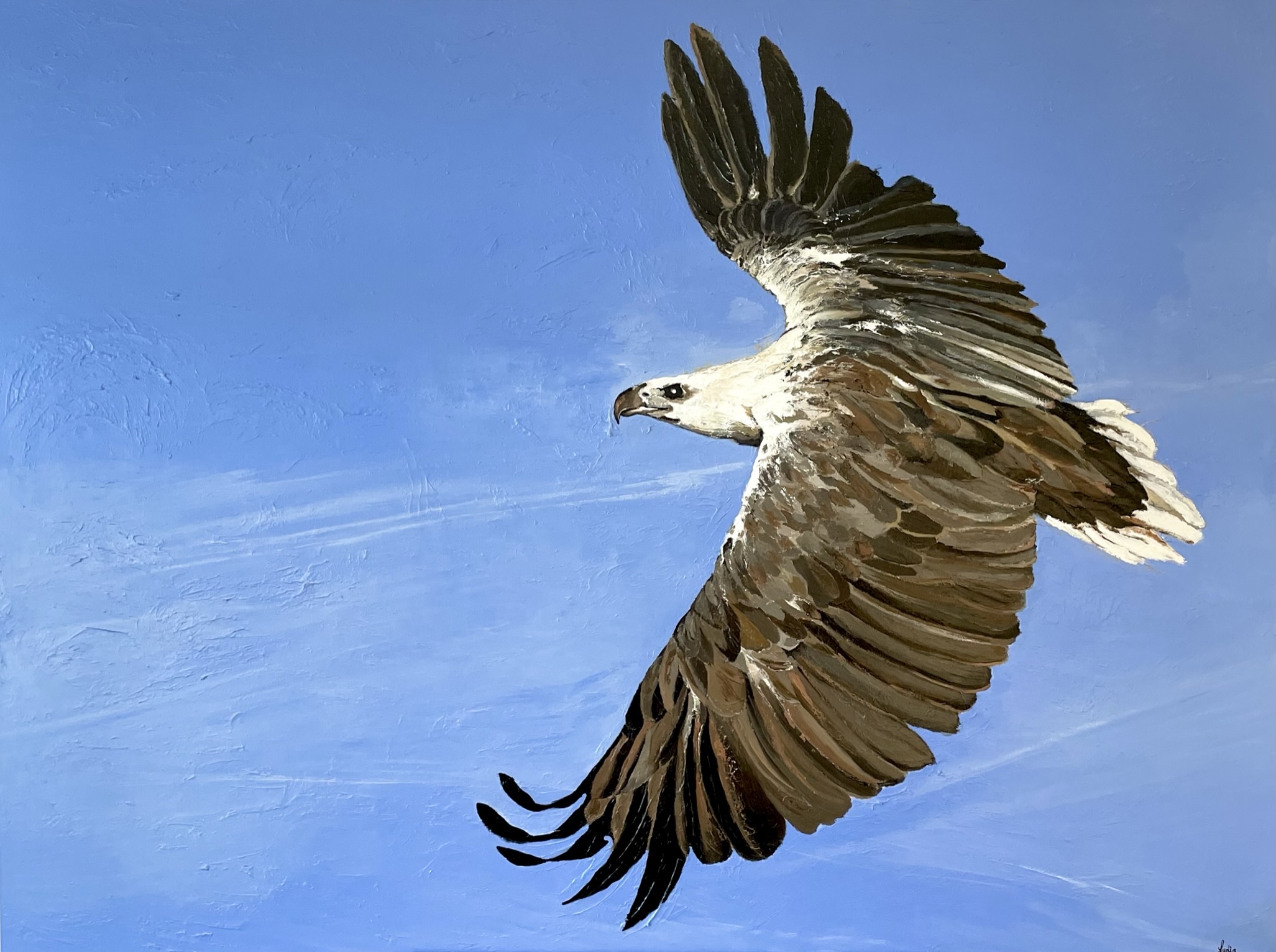 Soar